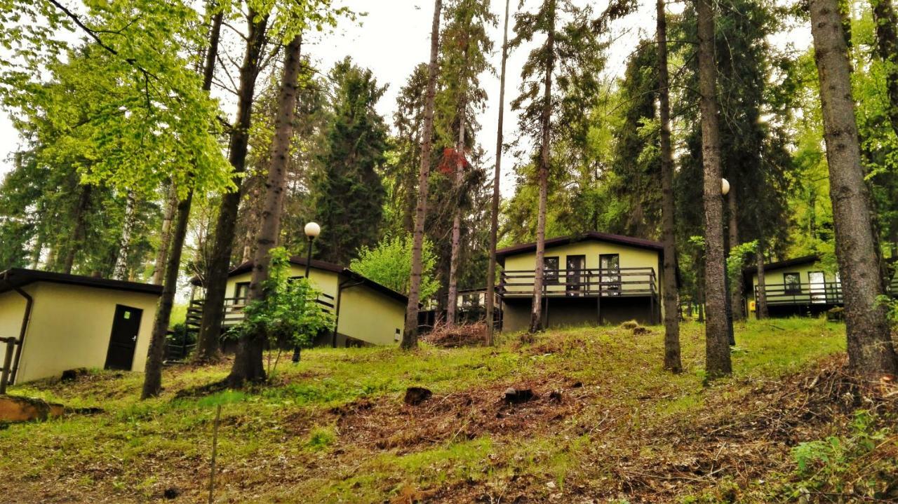 Kompleks Wypoczynkowo - Sportowy "Marysienka" Villa Międzybrodzie Bialskie Esterno foto