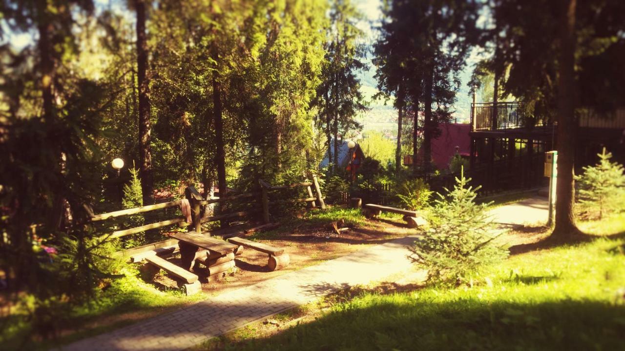 Kompleks Wypoczynkowo - Sportowy "Marysienka" Villa Międzybrodzie Bialskie Esterno foto